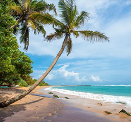 sera ella sri lanka