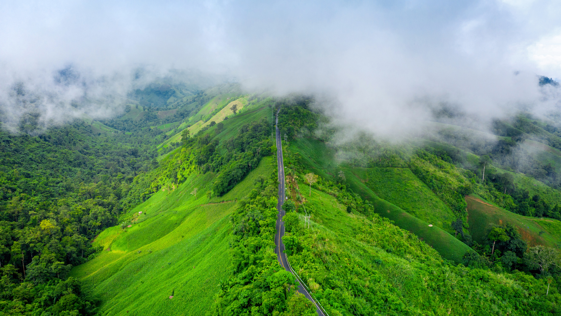 Tea plantations in Ella, Sri Lanka