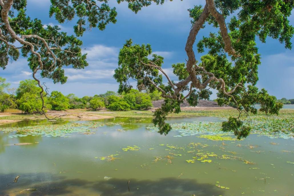 Top things to do in arugambay sri lanka