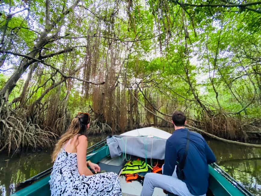 Top things to do in bentota sri lanka