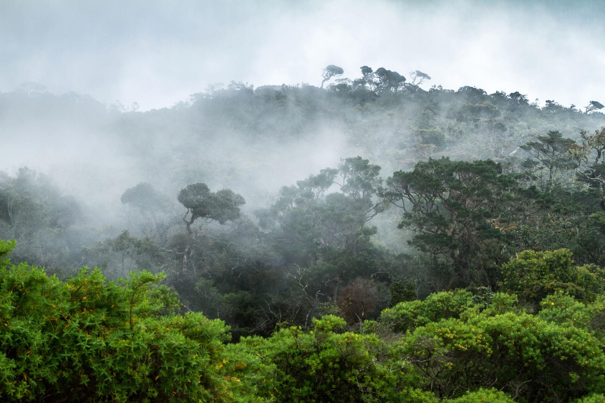 Top things to do in horton plains sri lanka