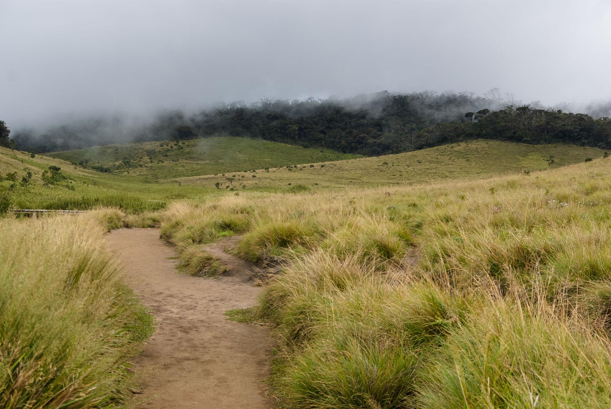 Top things to do in horton plains sri lanka