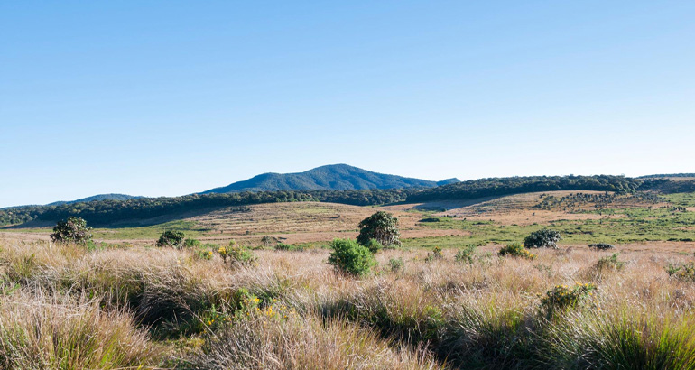 horton plains in sri lanka