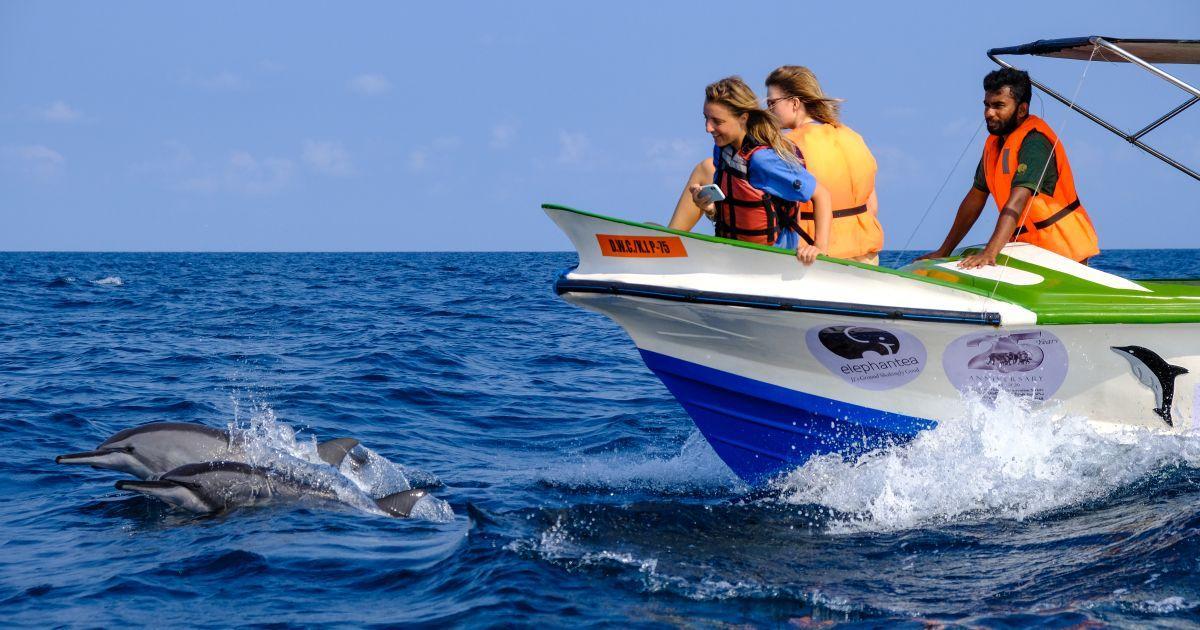 Top things to do in Kalpitiya sri lanka
