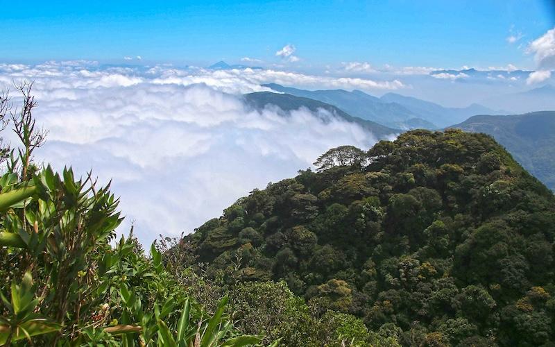 Knuckles Mountain Range sri lanka