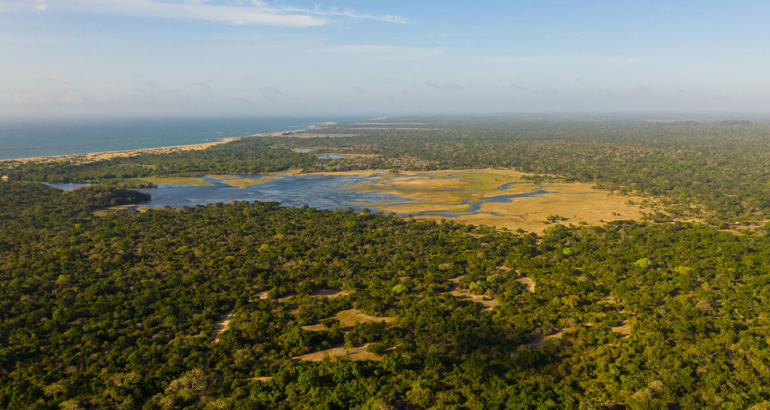kumana national park in sri lanka