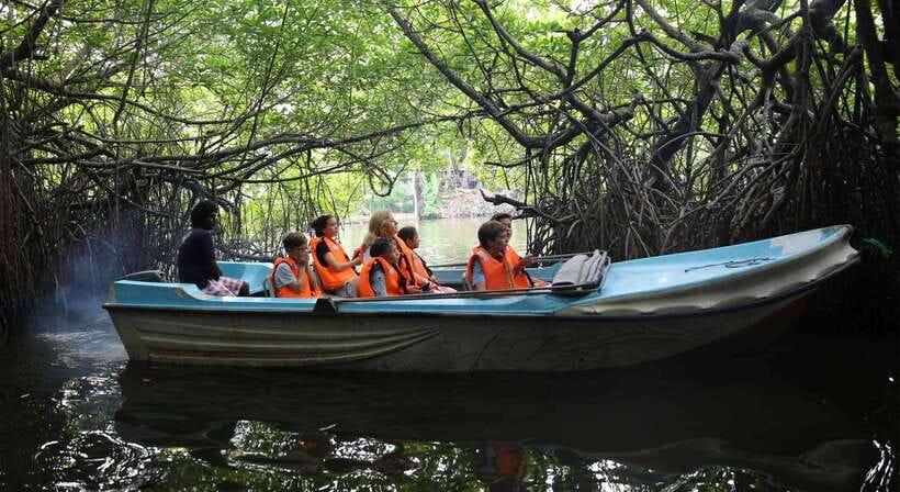 madu river boat safari sri lanka