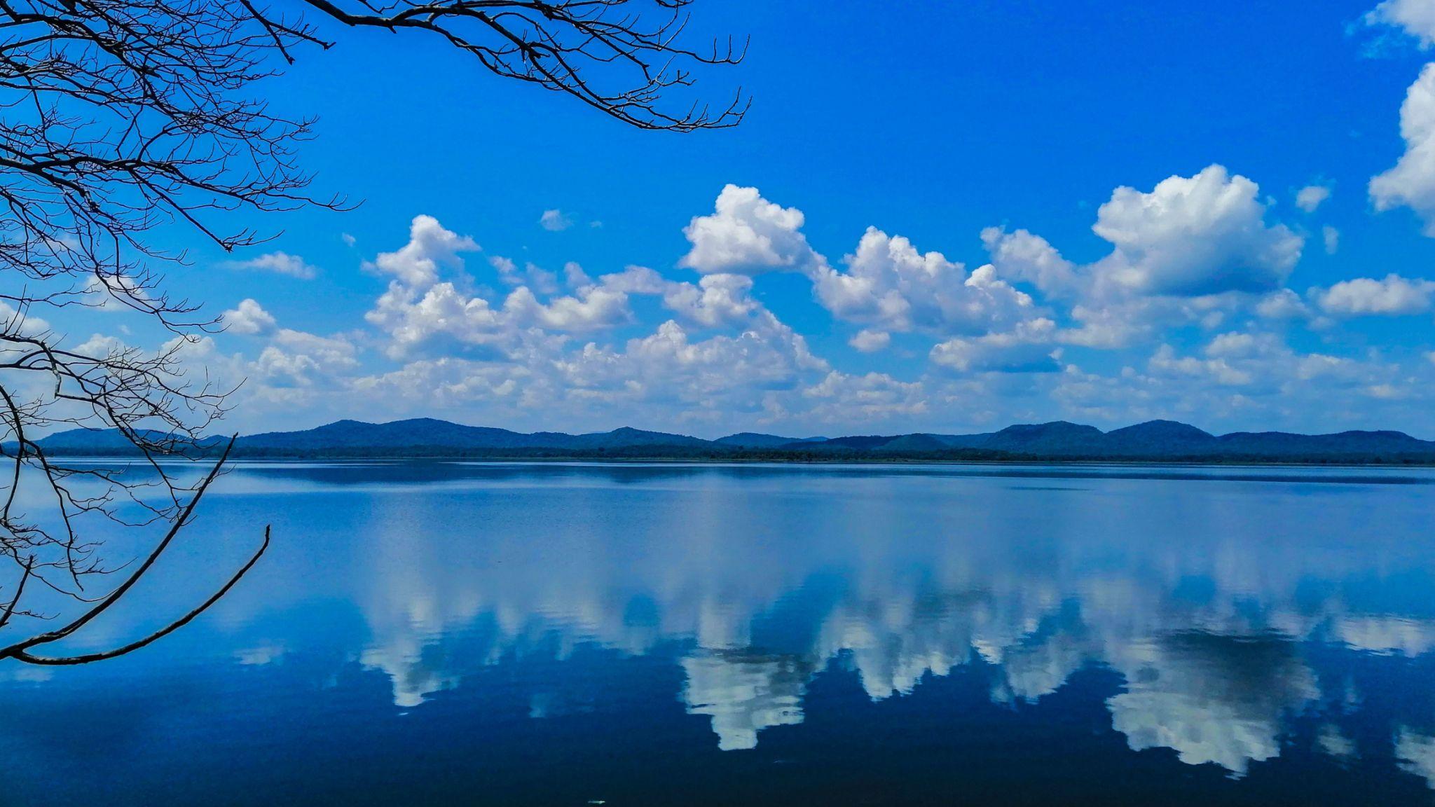 minneriya national park sri lanka