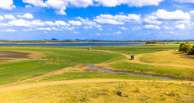 minneriya national park in sri lanka