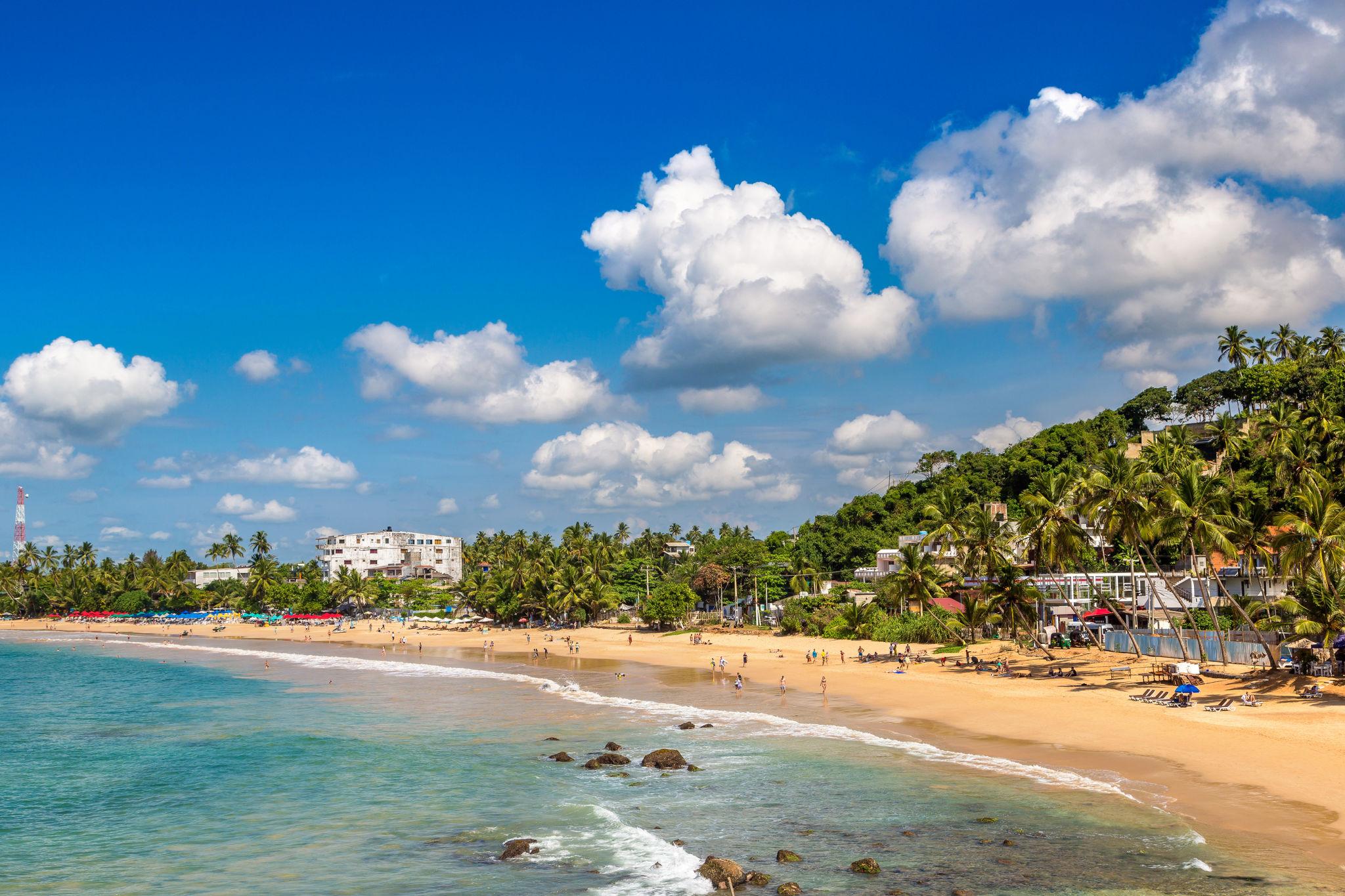 Top things to do in mirissa sri lanka