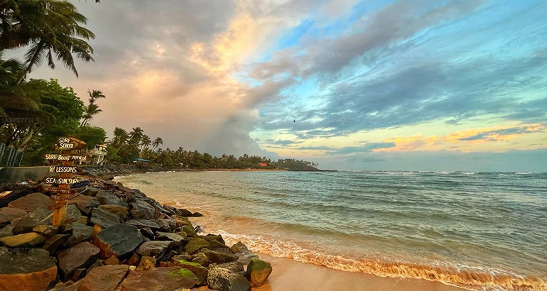 mirissa beach in sri lanka