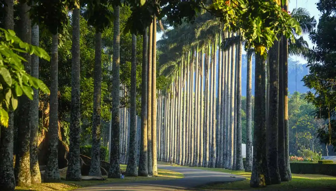Top things to do in kandy sri lanka