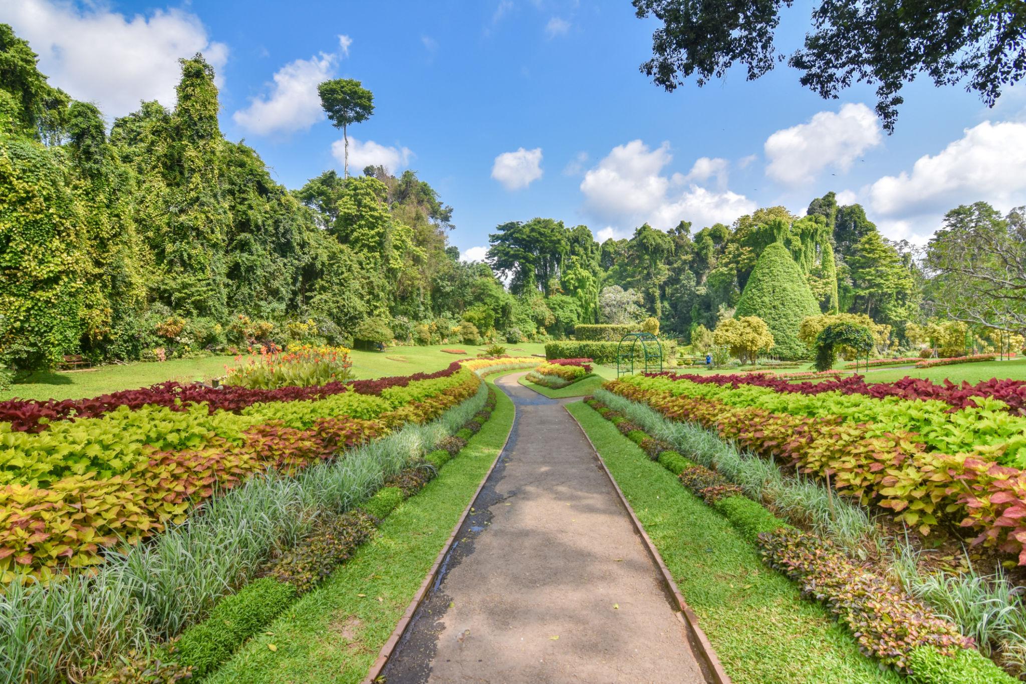 peradeniya botanical garden in sri lanka