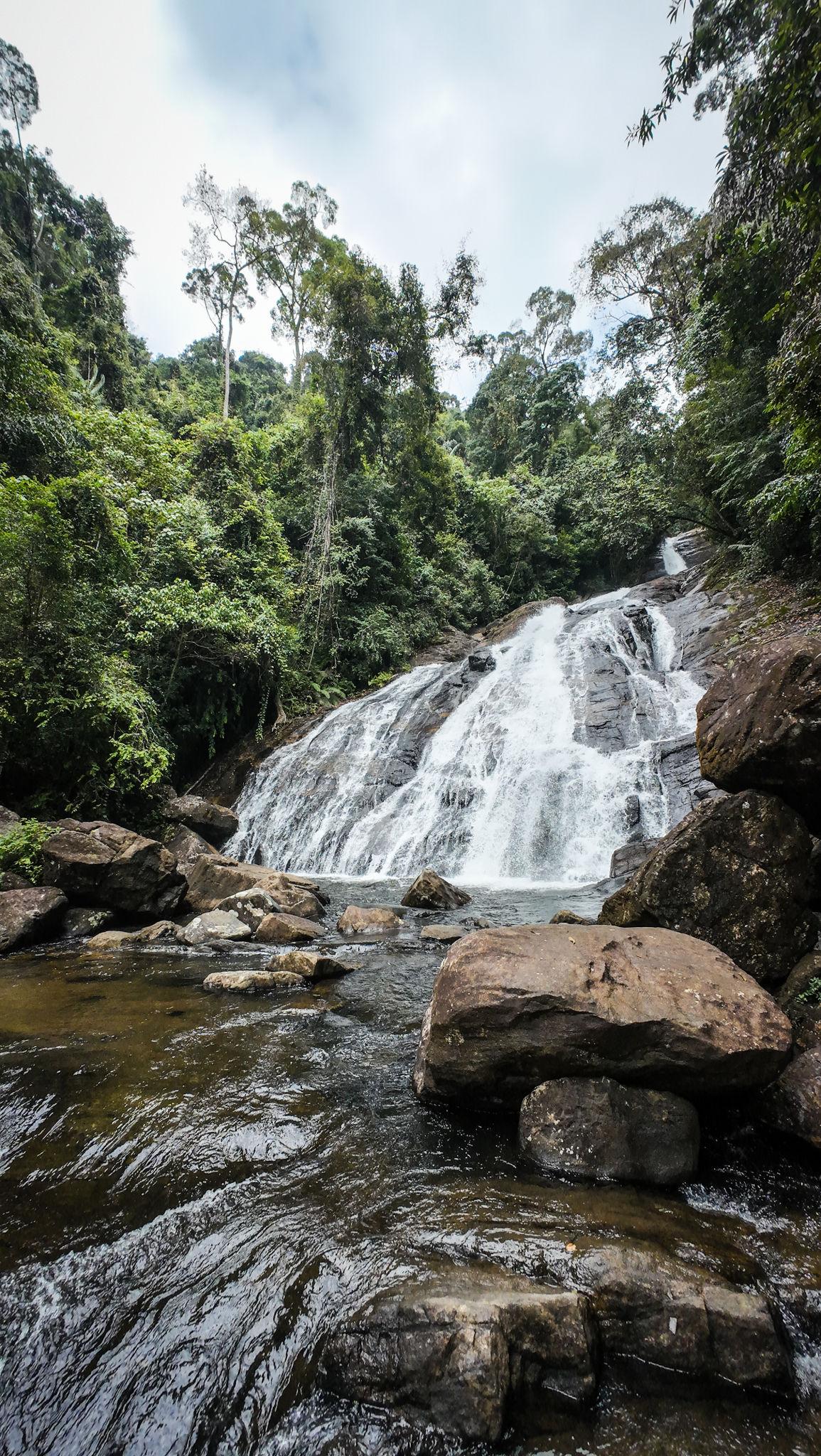 sinharaja rain forest sri lanka