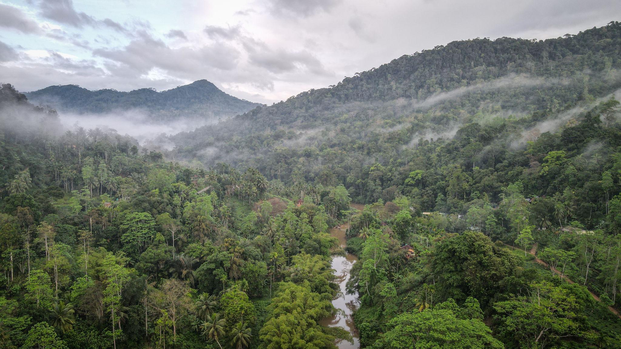 sinharaja rain forest sri lanka
