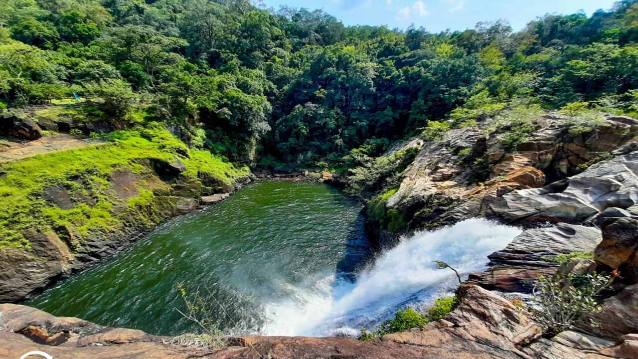 sinharaja rain forest sri lanka