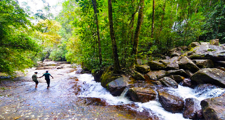 Sinharaja Rainforest in sri lanka