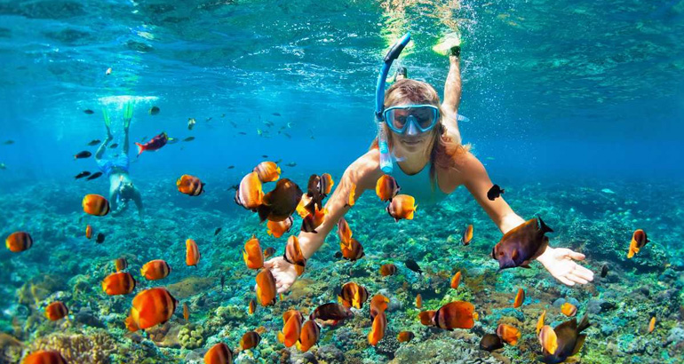 diving in sri lanka