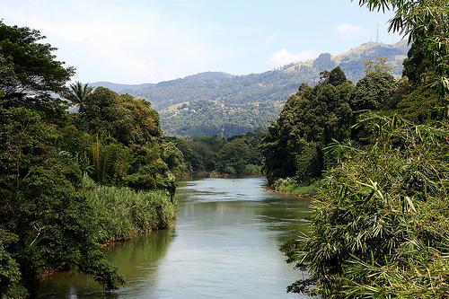 wasgamuwa national park sri lanka