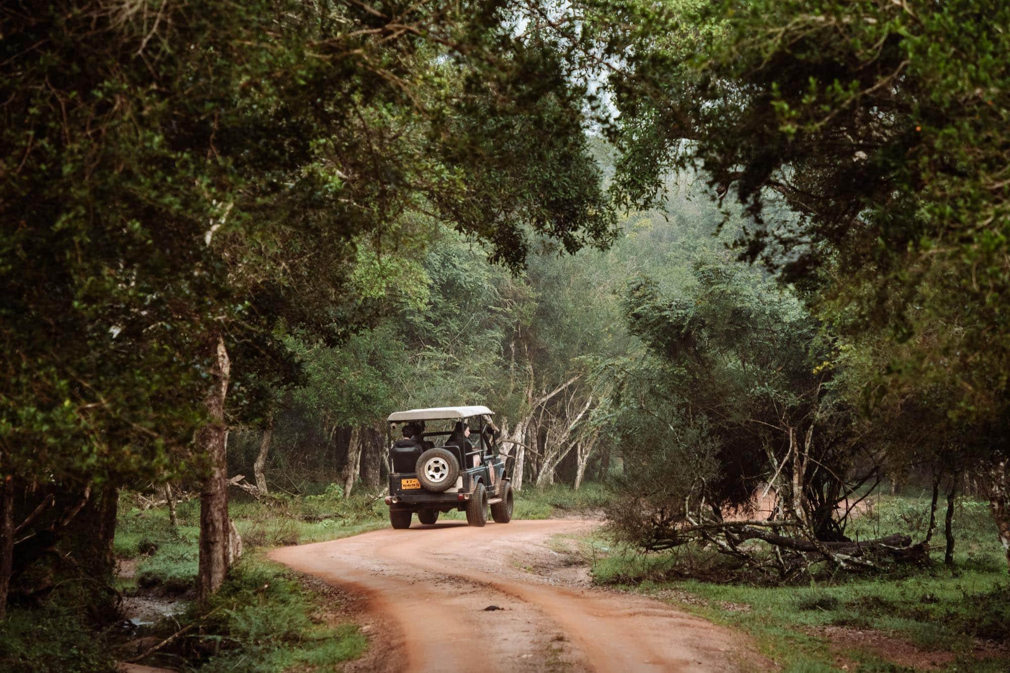 wilpattu national park sri lanka
