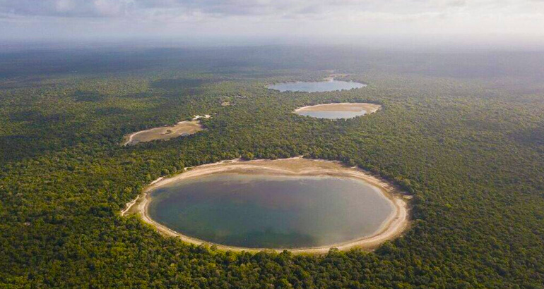 wilpattu national park in sri lanka