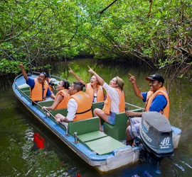 Eco Tourism in sri lanka