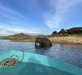Gal Oya National Park sri lanka