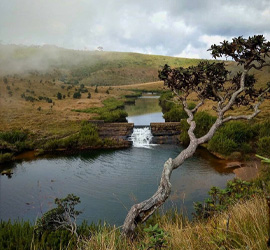 horton plains srilanka