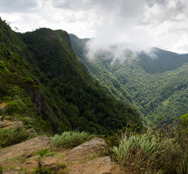 Horton Plains National Park sri lanka