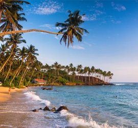 mirissa sri lanka