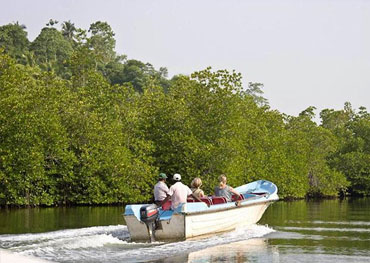 madu river sri lanka