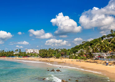 mirissa sri lanka