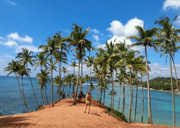 mirissa beach in sri lanka