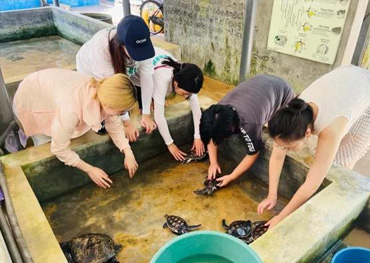 Turtle Hatchery in bentota