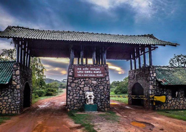 yala national park sri lanka